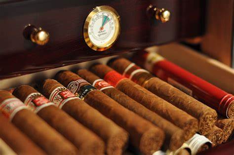 The ideal storage condition for cigars